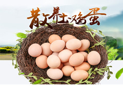 特产礼盒